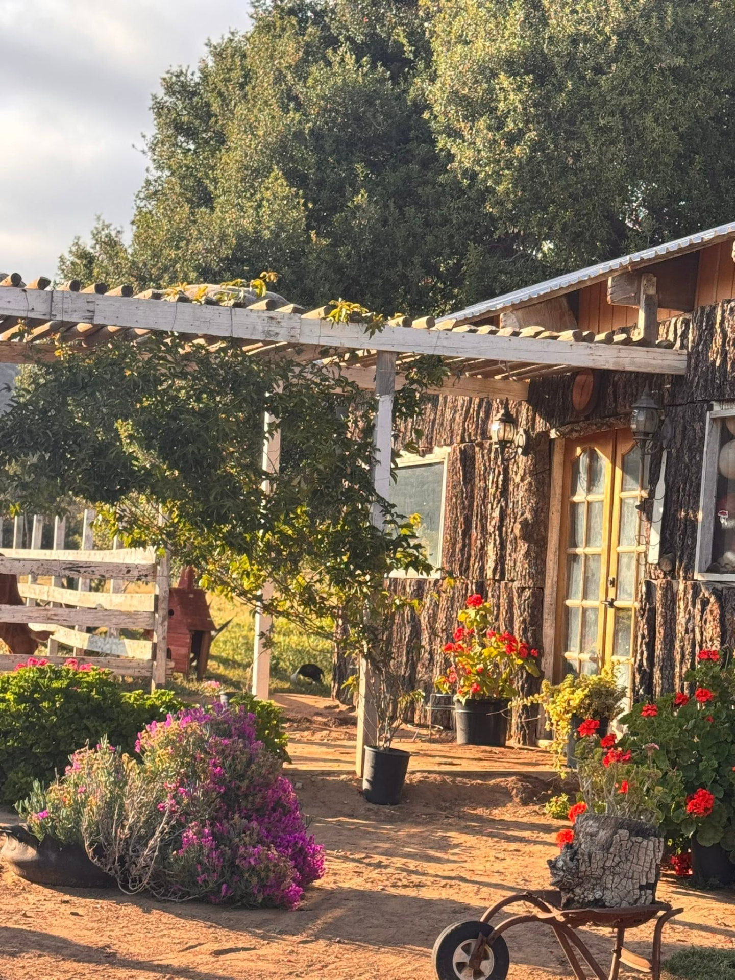 Cabaña de troncos del rancho entre flores