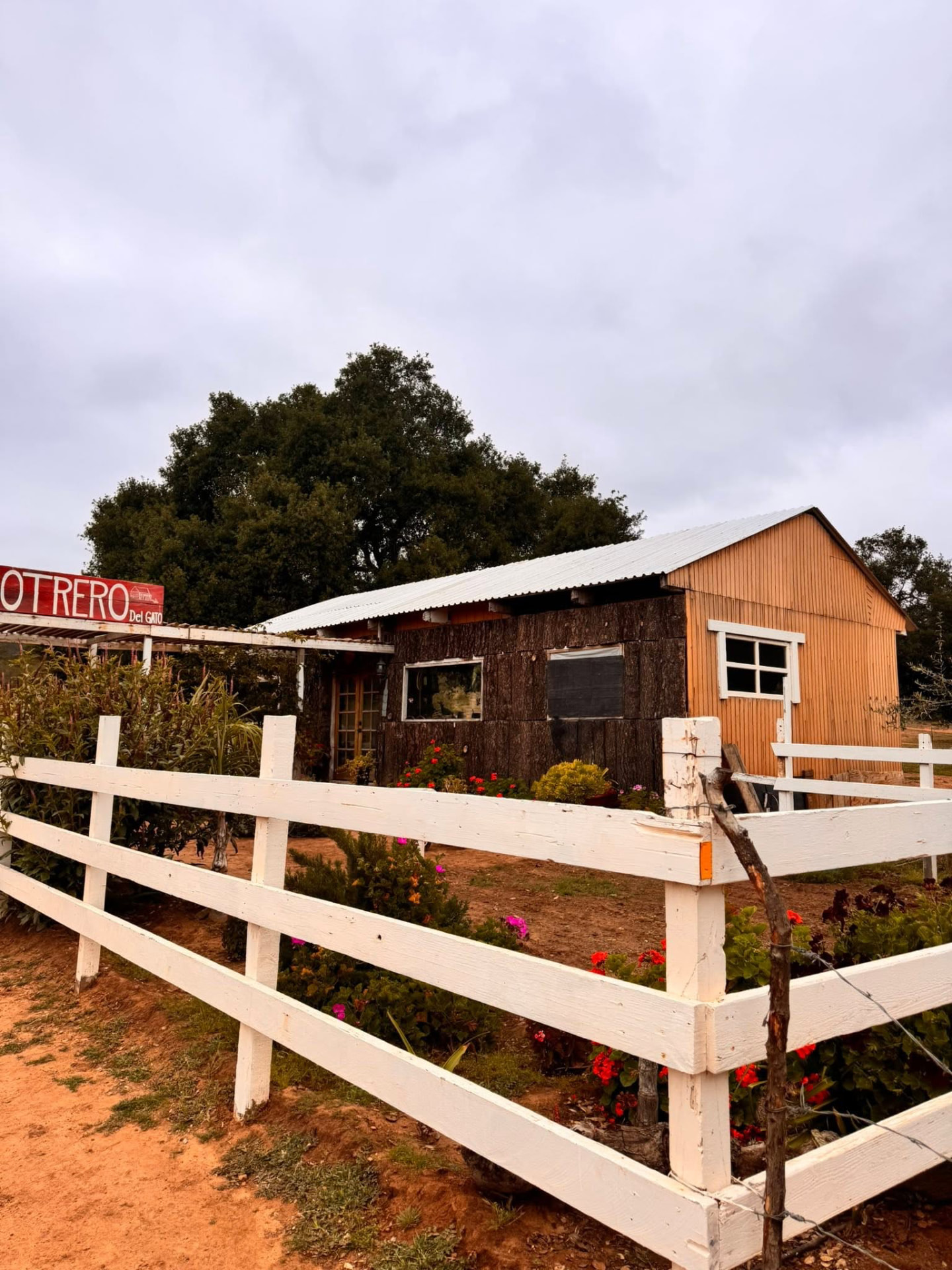 Cabaña de troncos del rancho entre flores